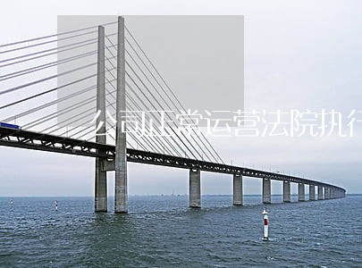 公司正常运营法院执行不了 公司正常运营法院执行不了