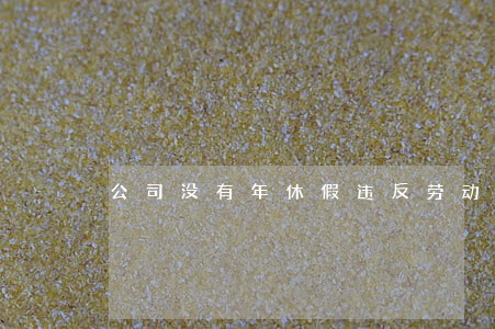 公司没有年休假违反劳动法吗 公司没有年休假违反劳动法吗