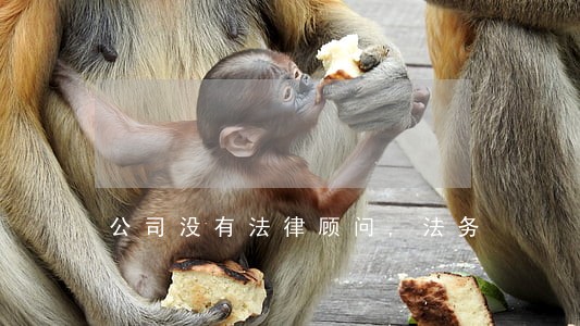公司没有法律顾问,法务 公司没有法律顾问,法务