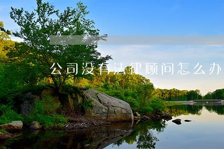 公司没有法律顾问怎么办 公司没有法律顾问怎么办