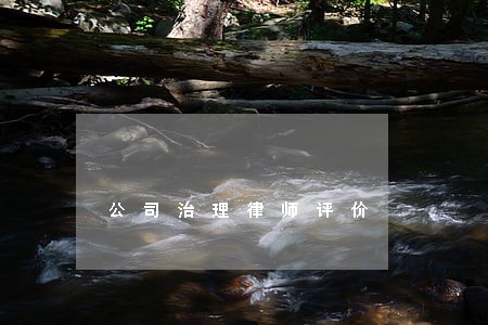 公司治理律师评价 公司治理律师评价