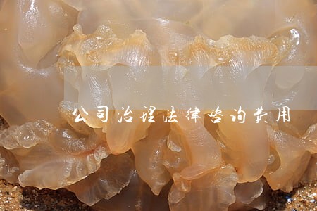 公司治理法律咨询费用 公司治理法律咨询费用