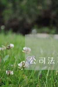 公司法不能对抗第三人指的是什么人