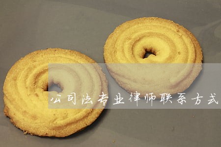 公司法专业律师联系方式 公司法专业律师联系方式