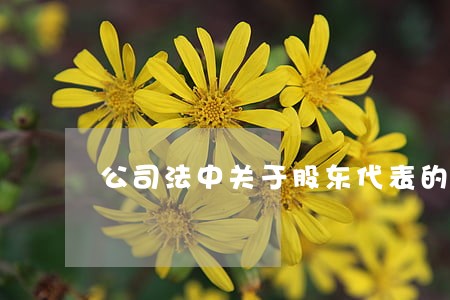 公司法中关于股东代表的权利 公司法中关于股东代表的权利