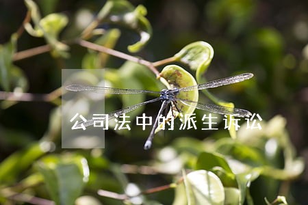 公司法中的派生诉讼 公司法中的派生诉讼