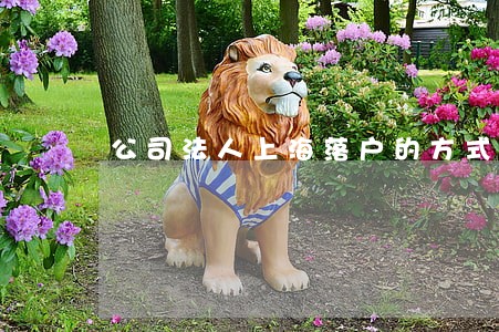公司法人上海落户的方式