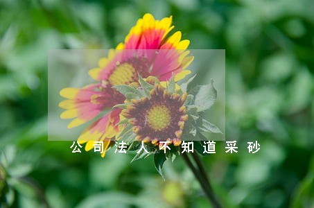 公司法人不知道采砂 公司法人不知道采砂