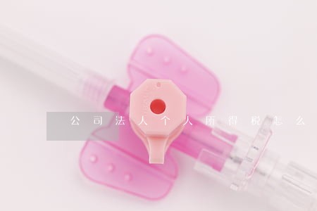 公司法人个人所得税怎么算