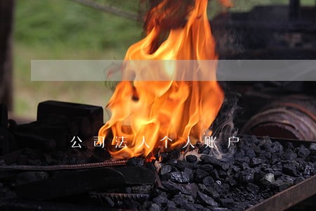 公司法人个人账户 公司法人个人账户