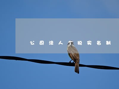 公司法人个税实名制 公司法人个税实名制
