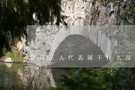 公司法人代表属于什么部门 公司法人代表属于什么部门