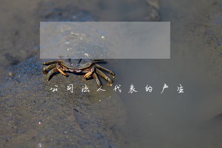 公司法人代表的产生 公司法人代表的产生