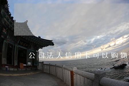 公司法人信用卡可以购物么