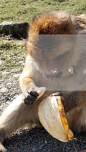 公司法人信用卡逾期一个月 公司法人信用卡逾期一个月