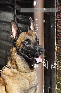 公司法人公司更改 公司法人公司更改