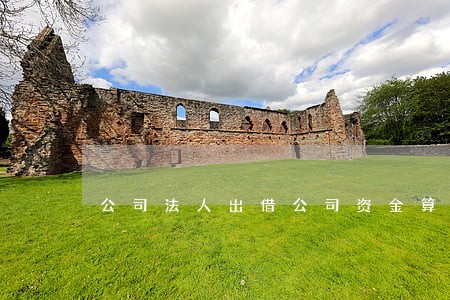 公司法人出借公司资金算挪用吗
