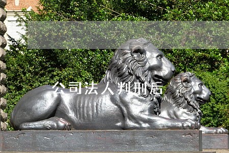 公司法人判刑后 公司法人判刑后
