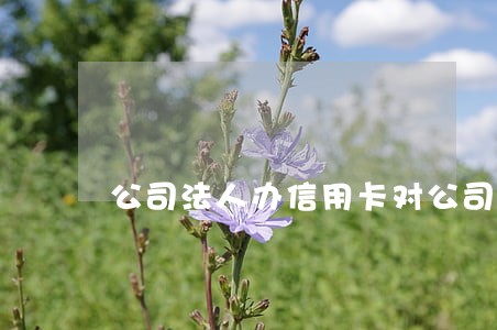 公司法人办信用卡对公司有影响吗 公司法人办信用卡对公司有影响吗
