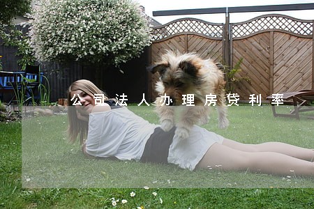 公司法人办理房贷利率 公司法人办理房贷利率