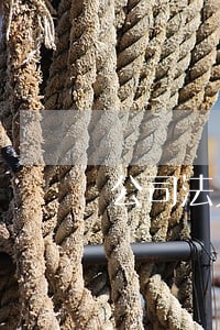 公司法人变更法人要到场吗 公司法人变更法人要到场吗