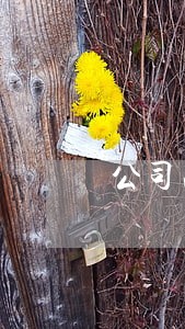 公司法人变更消防许可证怎么办 公司法人变更消防许可证怎么办