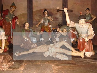 公司法人可以做吗