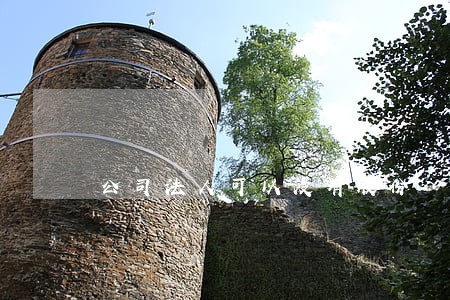 公司法人可以没有股份 公司法人可以没有股份