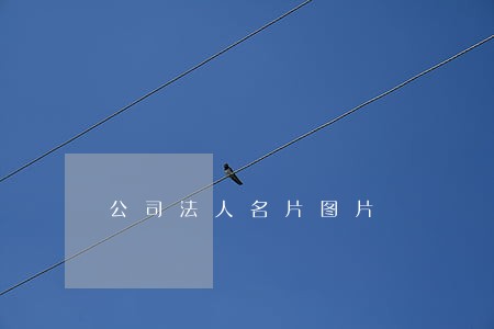 公司法人名片图片 公司法人名片图片