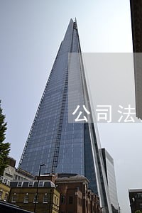 公司法人委托他人负责公司管理 公司法人委托他人负责公司管理