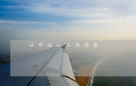 公司法人工作内容