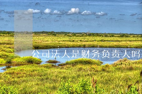 公司法人是财务负责人吗 公司法人是财务负责人吗
