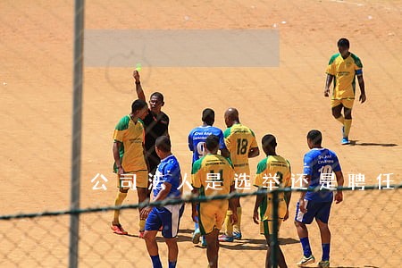 公司法人是选举还是聘任 公司法人是选举还是聘任