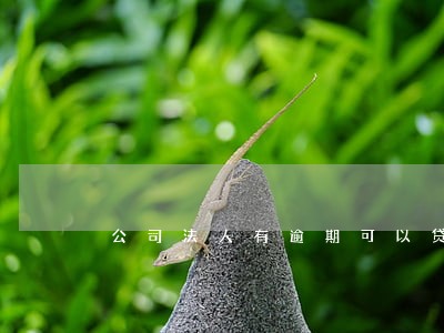 公司法人有逾期可以贷款吗