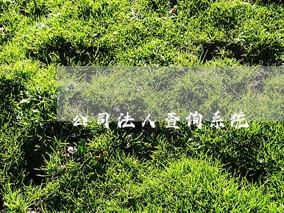公司法人查询系统 公司法人查询系统