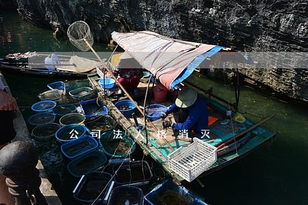 公司法人格消灭 公司法人格消灭