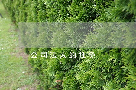 公司法人的任免 公司法人的任免