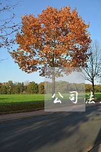 公司法人股东需要交社保吗