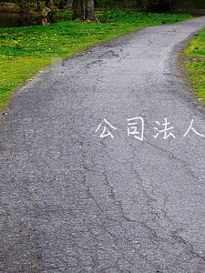 公司法人被判刑后