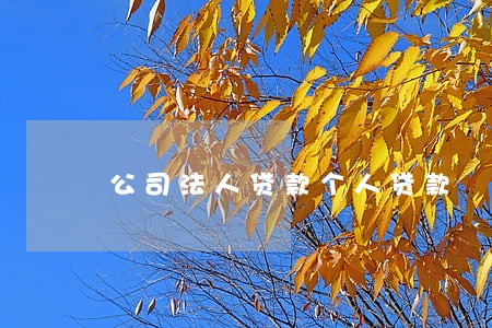 公司法人贷款个人贷款 公司法人贷款个人贷款