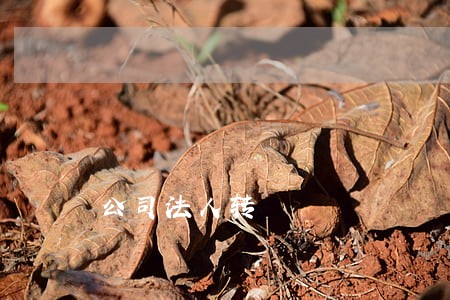 公司法人转 公司法人转