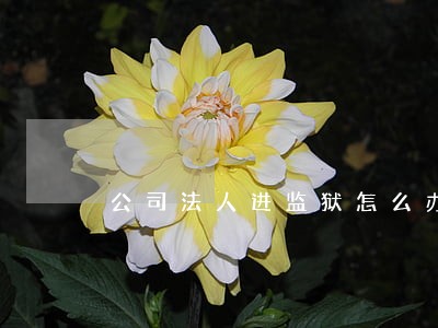 公司法人进监狱怎么办 公司法人进监狱怎么办