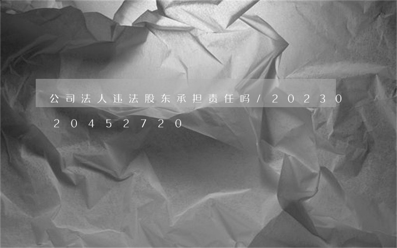 公司法人违法股东承担责任吗/2023020452720