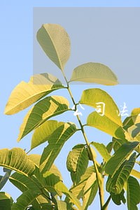 公司法人逾期4次