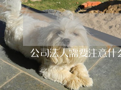 公司法人需要注意什么 公司法人需要注意什么