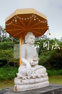 公司法公司七件大事一票否决 公司法公司七件大事一票否决