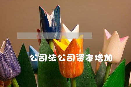 公司法公司资本增加