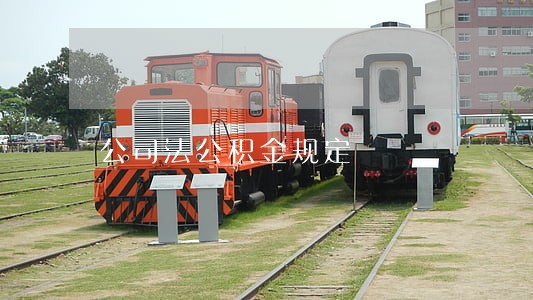 公司法公积金规定