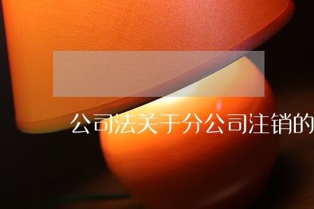 公司法关于分公司注销的规定 公司法关于分公司注销的规定