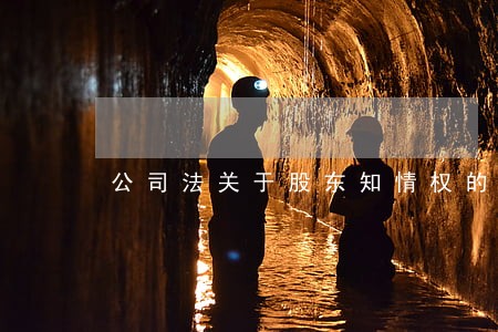 公司法关于股东知情权的规定 公司法关于股东知情权的规定